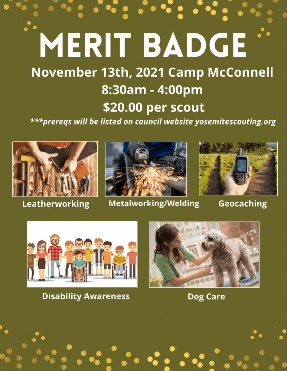 Merit Badge Day: Leatherwork Metalwork/Welding Geocaching Dog Care